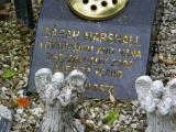 image of grave number 245780